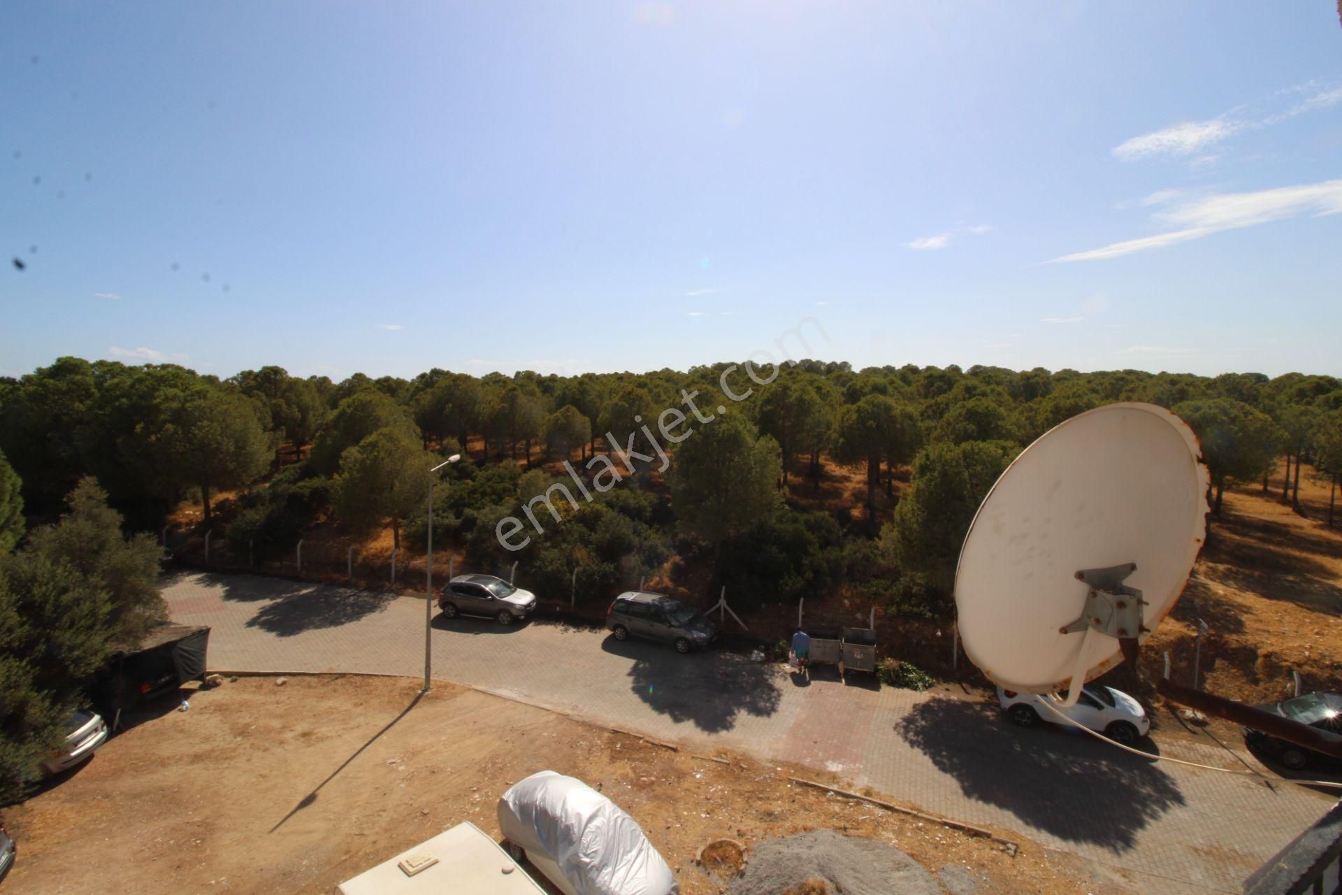 Aydın Didim Altınkum Mahallesi Denize 200 Metre Mesafede2+1 Daire Orman Ve Doğa Manzaralı - Görsel 22