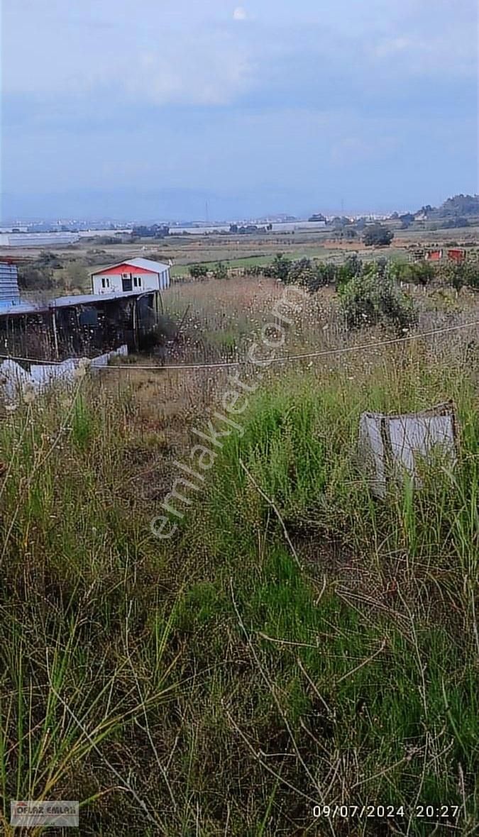 Manavgat Sarılar Satılık Tarla OFLAZ EMLAK'TAN SATILIK SARILARDA HİSSELİ TARLA