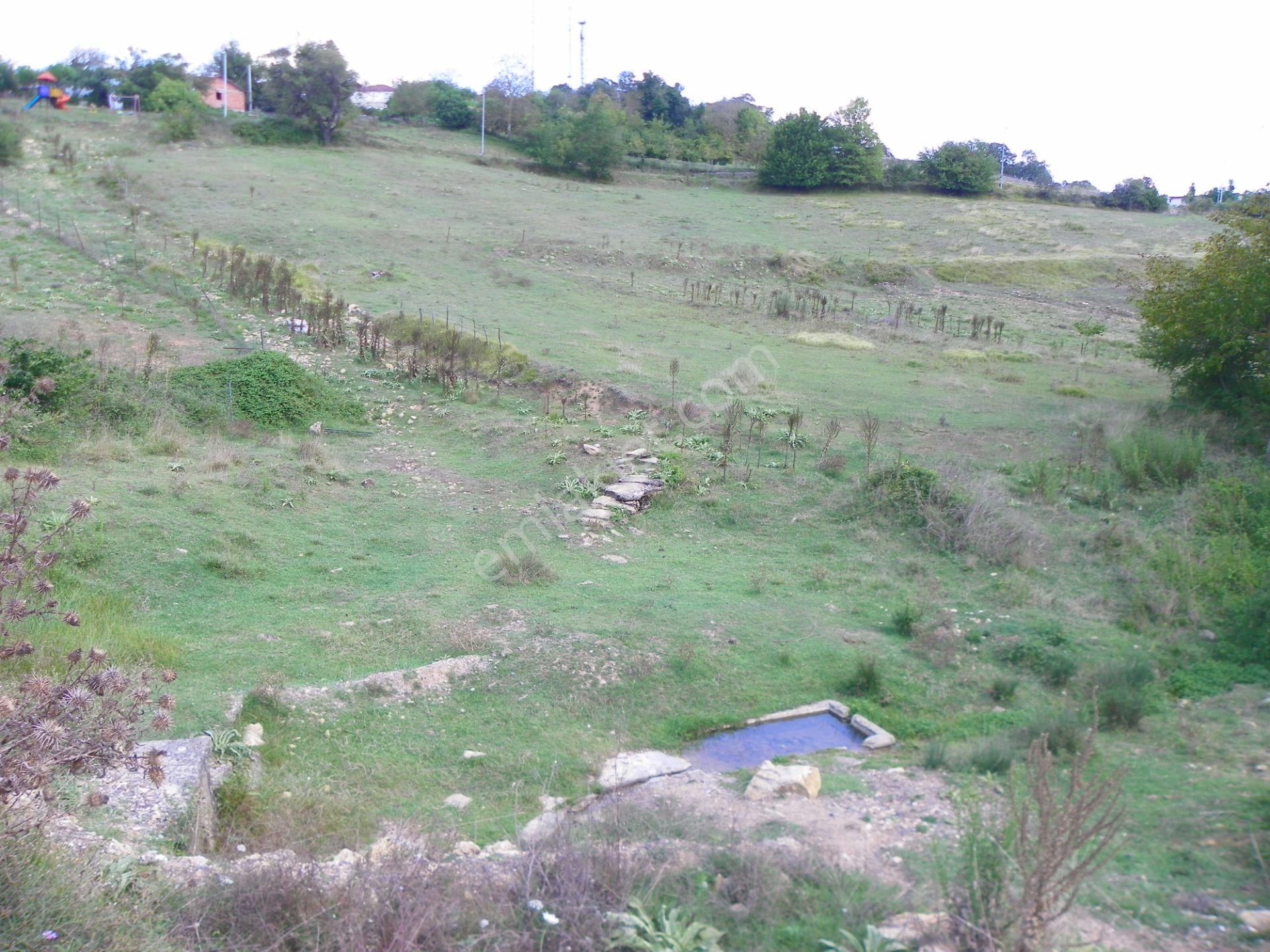 Gebze-duraklı Köyü Eleşli Mahallesinde Satılık Müstakil Tapulu 575 M2 Arazi - Görsel 8