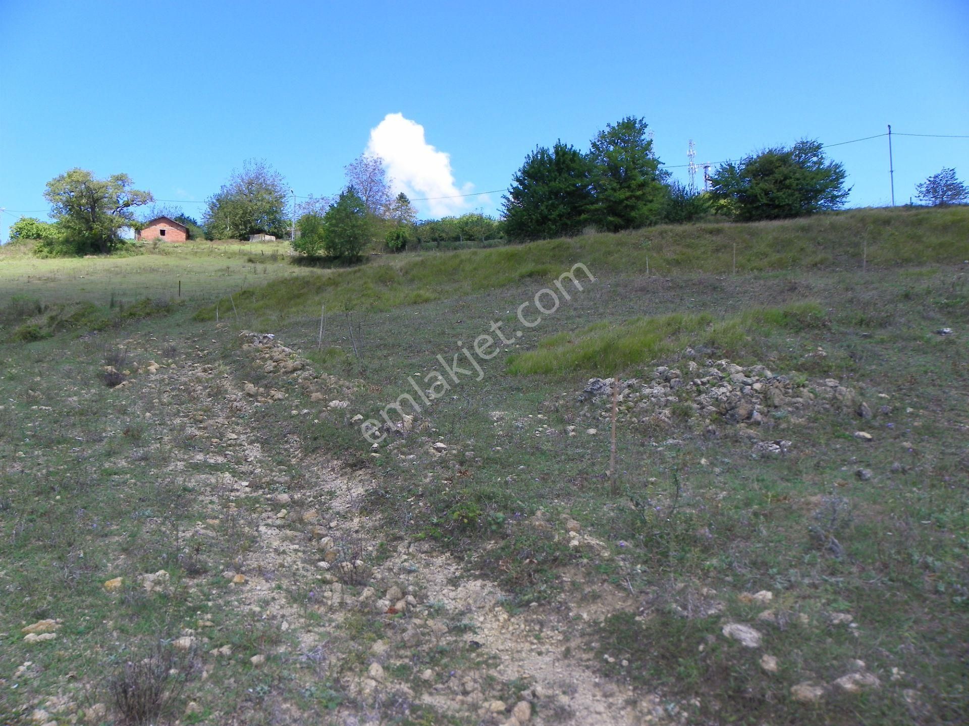 Gebze-duraklı Köyü Eleşli Mahallesinde Satılık Müstakil Tapulu 575 M2 Arazi - Görsel 4
