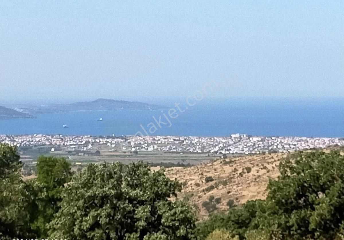 Dikili Kızılçukur Satılık Tarla Saadet Korkmaz Emlak'tan Dikili Kızılçukur Köyünde Satılık Full Deniz Manzaralı 20 Dönüm Tarla