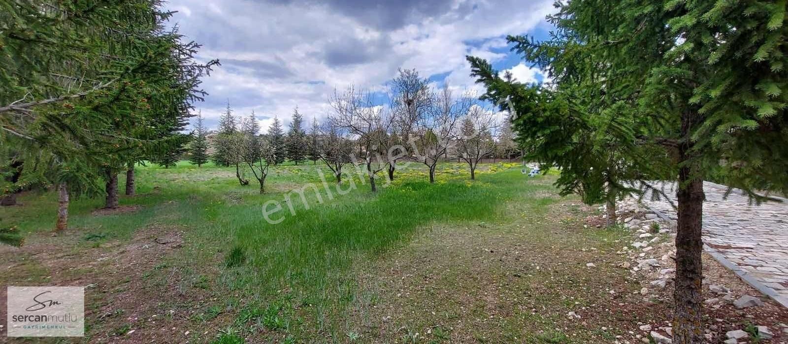 Tepebaşı Musaözü Satılık Tarla SERCAN MUTLU'DAN MUSAÖZÜ MAHALLESİNDE 2977 M2 SATILIK BAHÇE !!!