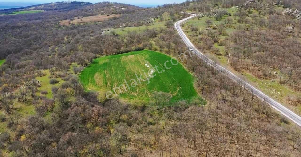 Lalapaşa Hacıdanişment Köyü Satılık Tarla Kısa Sureligine Sahibinden Satılık Tarla