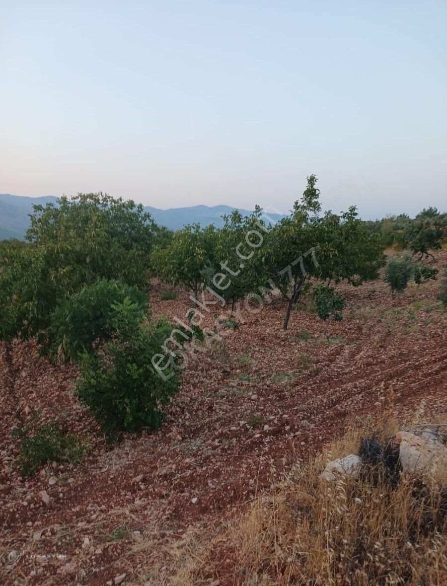 Şahinbey Sırasöğüt Satılık Bağ & Bahçe LOKASYONDAN SIRASÖĞÜTTE YATIRIMLIK TEK TAPU 10 DÖNÜM ARAZİ