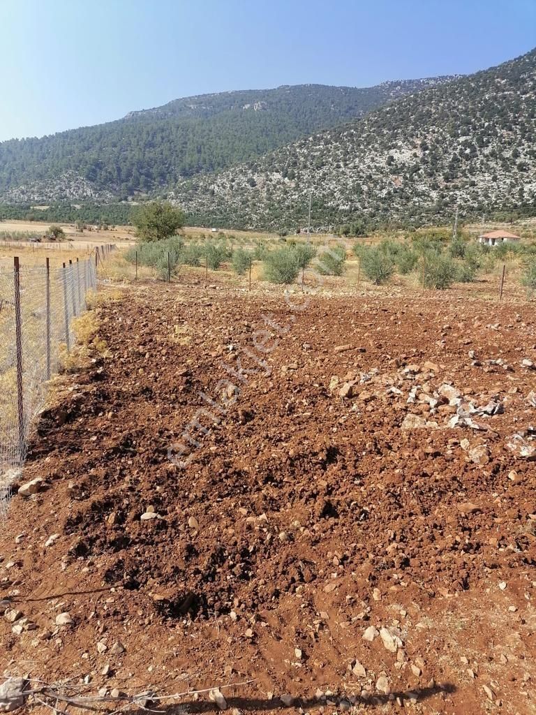 Akkoç’ta 426 M² Tek Tapu Tarla – Köye Yakın Yatırım Fırsatı! - Görsel 13