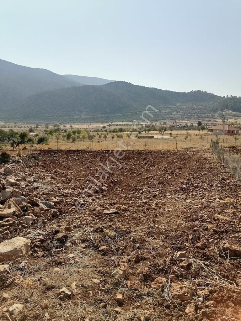 Akkoç’ta 426 M² Tek Tapu Tarla – Köye Yakın Yatırım Fırsatı! - Görsel 19