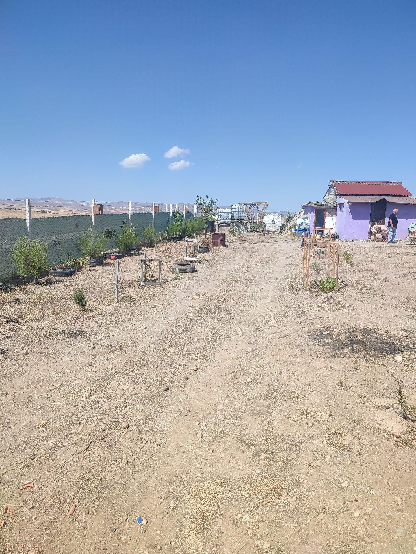 Sincan Gazi Satılık Bağ & Bahçe Temelli Gazi Mahallesinde İmarlı Hobi Bahçesi