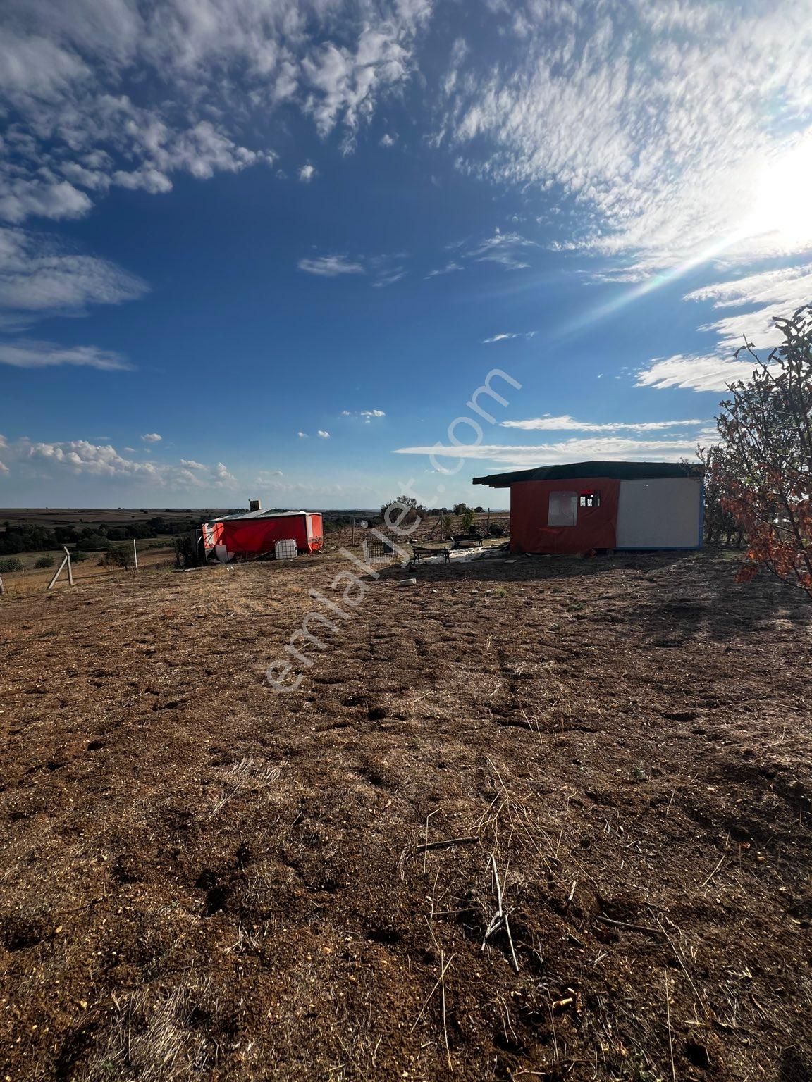 Lüleburgaz Sakızköyde Satılık 1640 M2 Hazır Kurulu Bağ Yeri