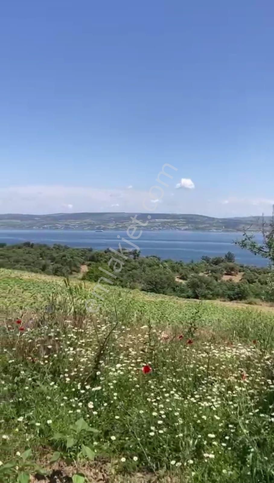 Muğla Milas Satılık Ticari İmarlı MUĞLA MİLAS ASLANYAKADA SATILIK UYGUN ARAZI GES İÇİN UYGUN 