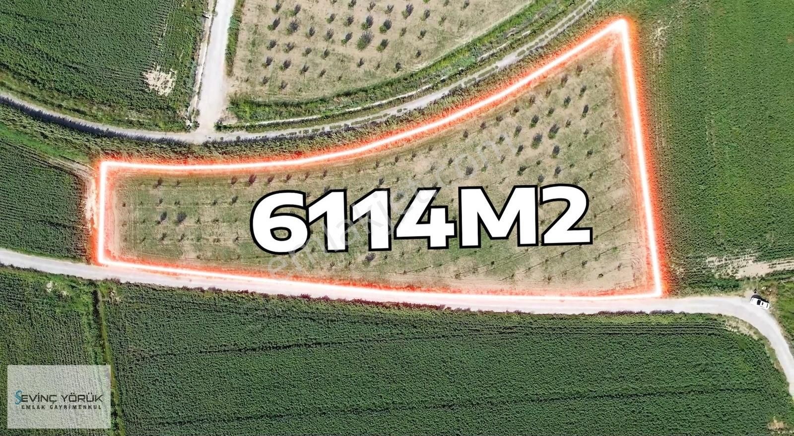 Satılık Arsa,tarla,bağ,bahçe,imara Yakın Tektapu - Görsel 34