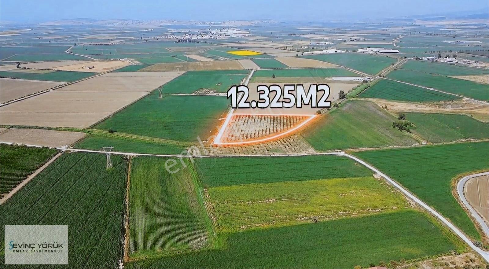 Satılık Arsa,tarla,bağ,erik Bahçesi,imara Yakın Tektapu - Görsel 18