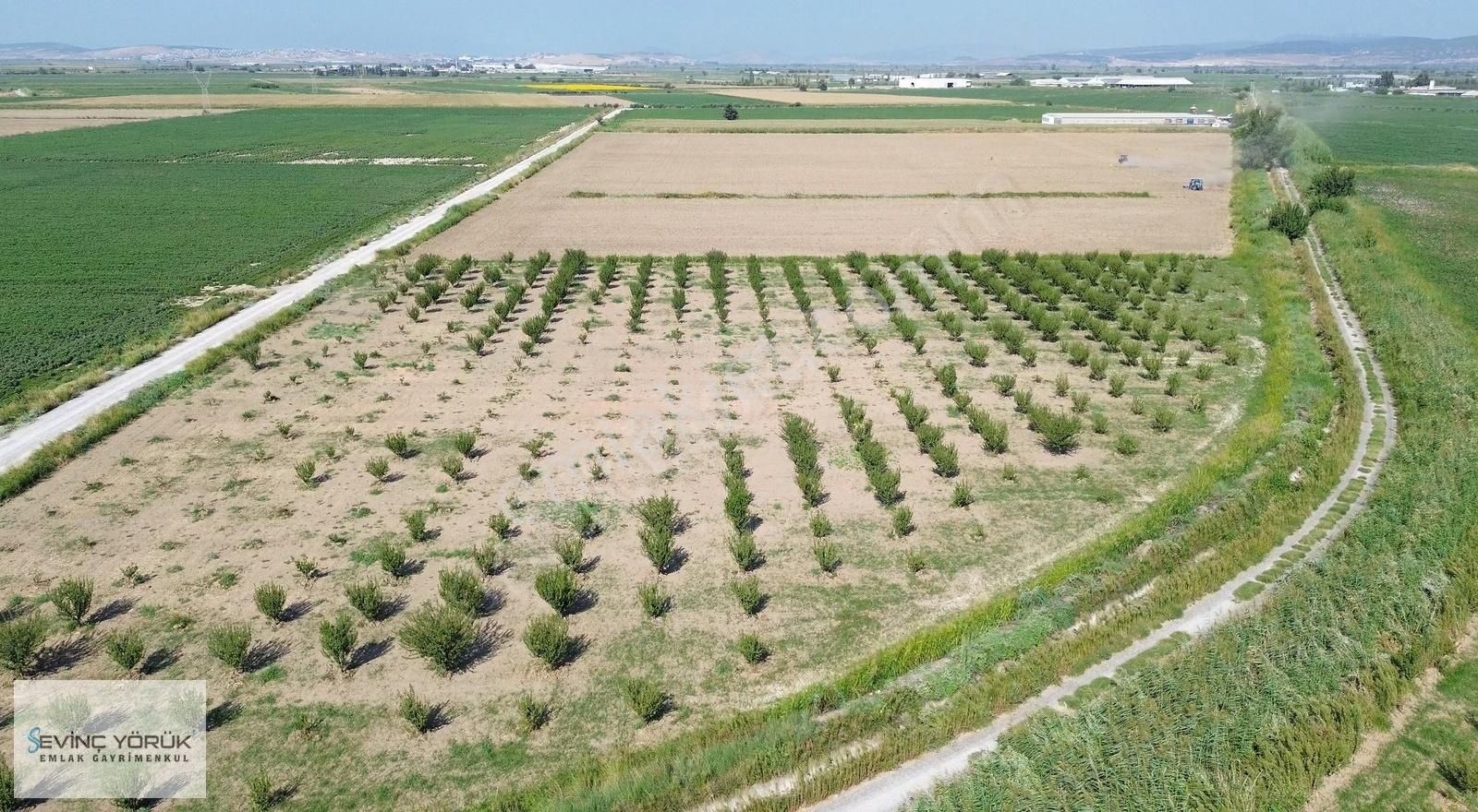 Satılık Arsa,tarla,bağ,erik Bahçesi,imara Yakın Tektapu - Görsel 5