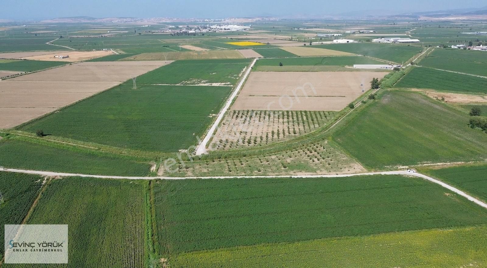 Satılık Arsa,tarla,bağ,erik Bahçesi,imara Yakın Tektapu - Görsel 19