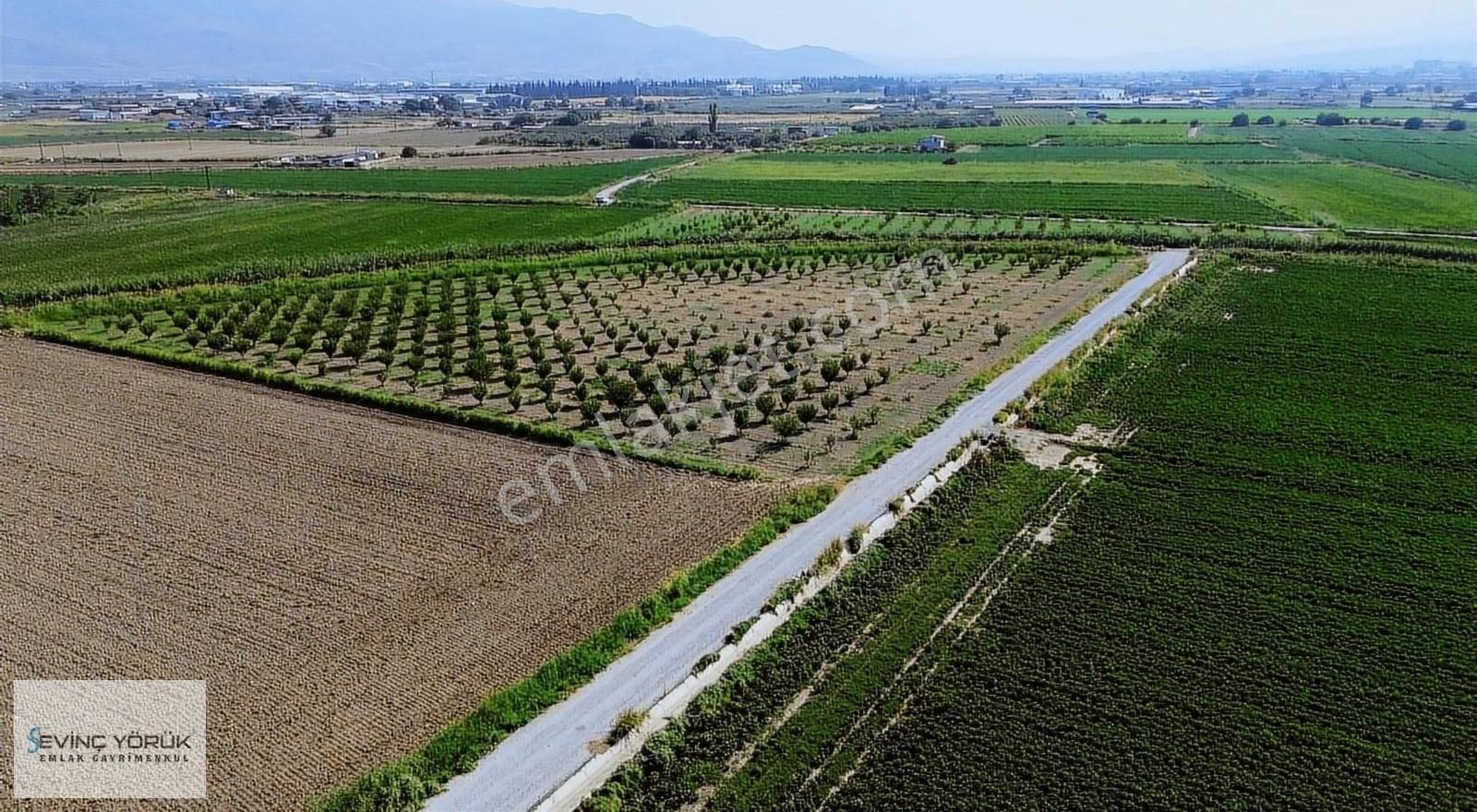 Satılık Arsa,tarla,bağ,erik Bahçesi,imara Yakın Tektapu - Görsel 24