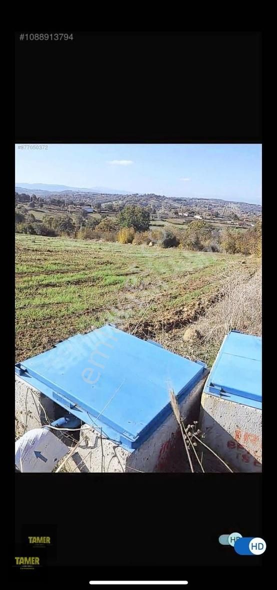 Yenice Çırpılar Köyü Satılık Tarla TAMER'DEN ÇANAKKALE ÇIRPILAR KÖYÜNDE SATILIK TARLA