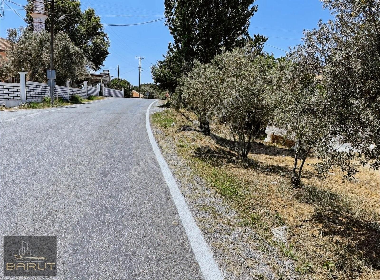 Menteşe Doğan Satılık Konut İmarlı Doğanköyde Asfalt Yol Cepheli Arsa