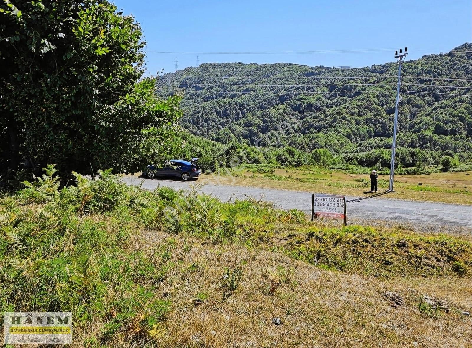 Kozlu Kargalar Köyü (Demirciler) Satılık Bağ & Bahçe HANEMDEN KOZLUDA ANAYOL KENARI KAÇIRILMAYACAK FIRSAT ARSA