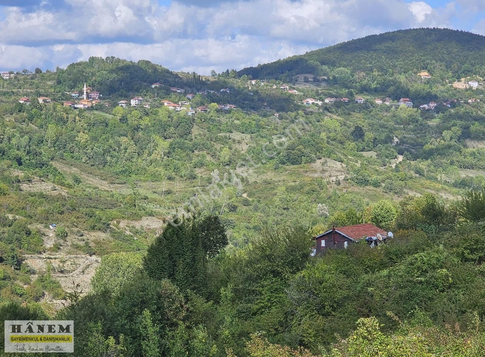 Kozlu Kargalar Köyü (Merkez) Satılık Bağ & Bahçe Hanemden Anayol Kenarı Yatırımlık Fırsat Niteliğinde 2340 M2