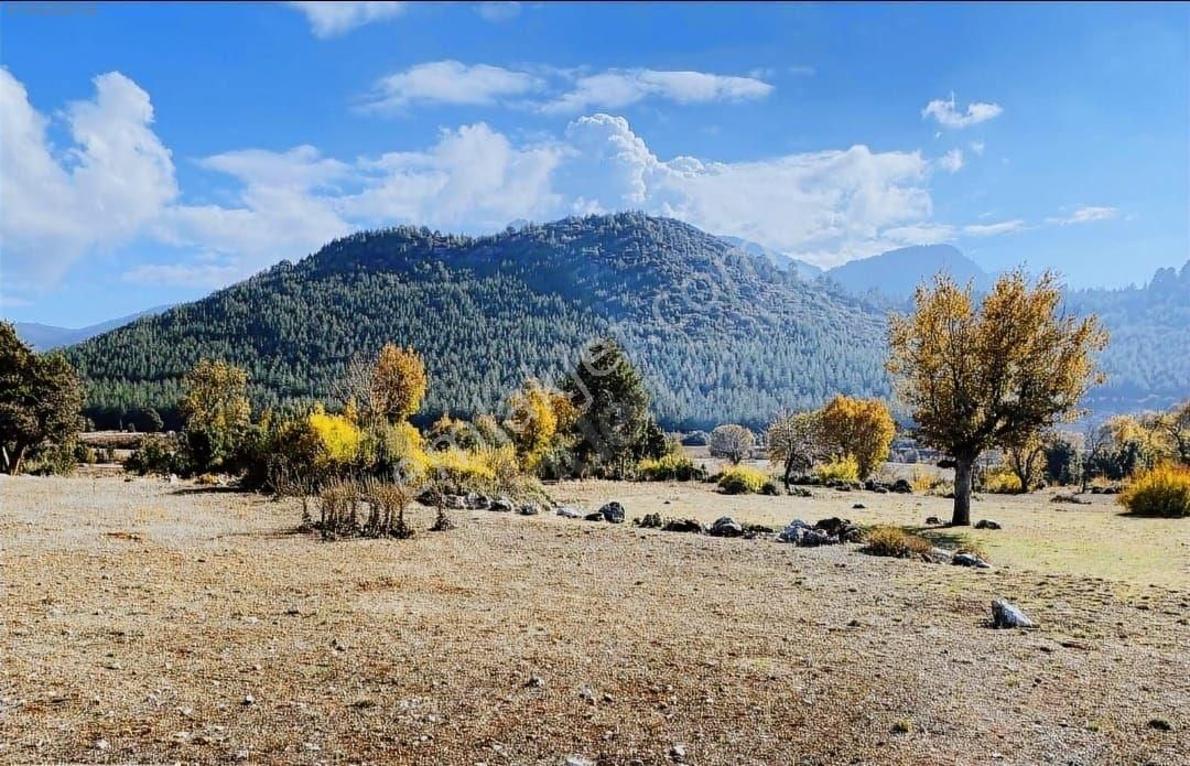 Bucak Avdancık Köyü (Sivişler) Satılık Tarla Antalya'ya 70 km de 9,3 dönüm çiftlik arazisi... 