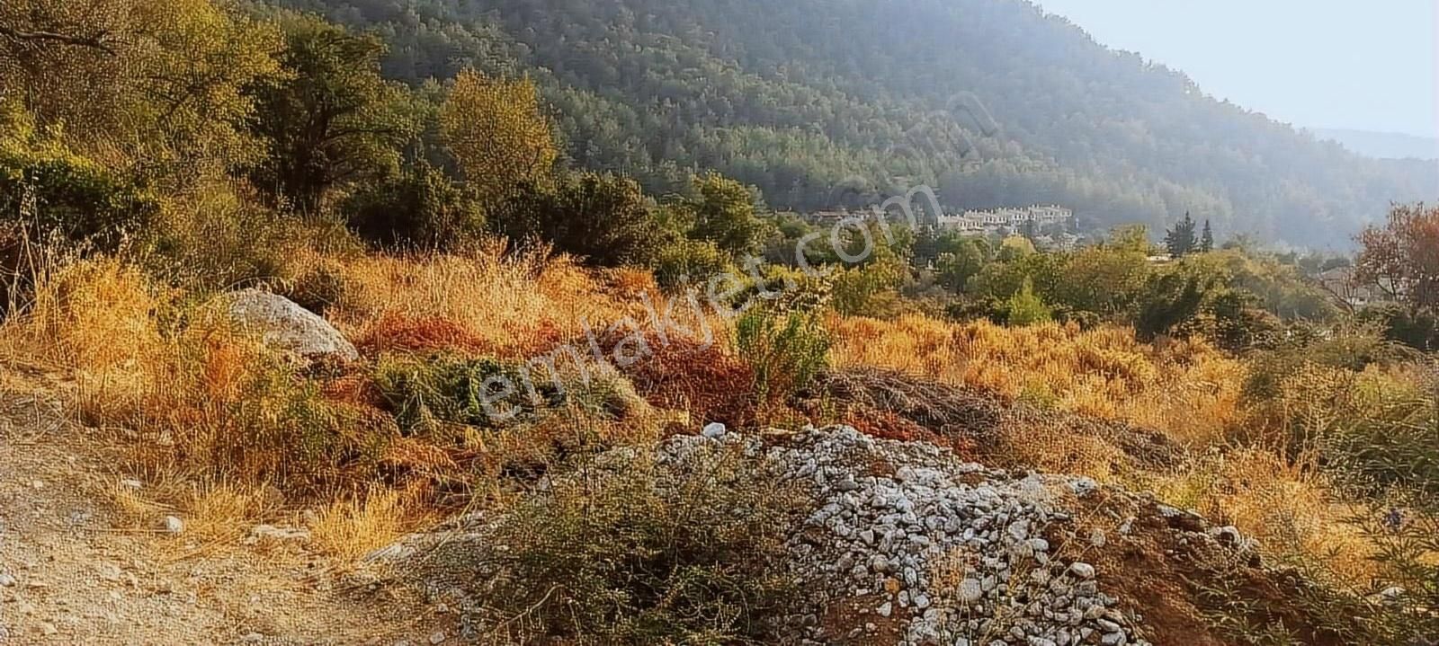 Fethiye Yeşilüzümlü Satılık Konut İmarlı Fethiye Yeşil Üzümlü De Satılık Mükemmel Konumda Arsa