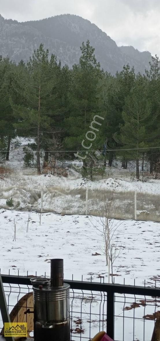 Pozantı Alpu Satılık Tarla Pozantı Alpu yaylasında