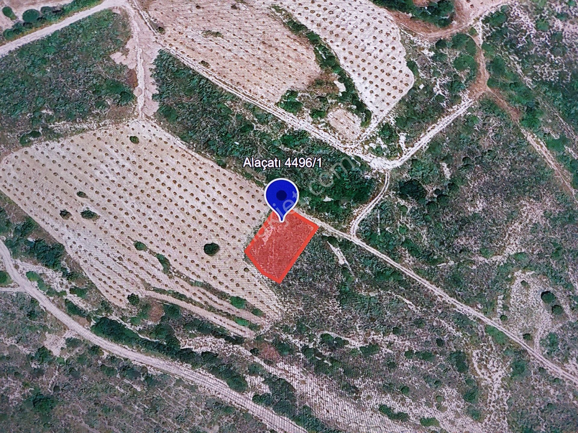 Locate'den Çeşme Alaçatı Bedir Mevkiinde Satılık 1.025 M² Arsa - Görsel 2