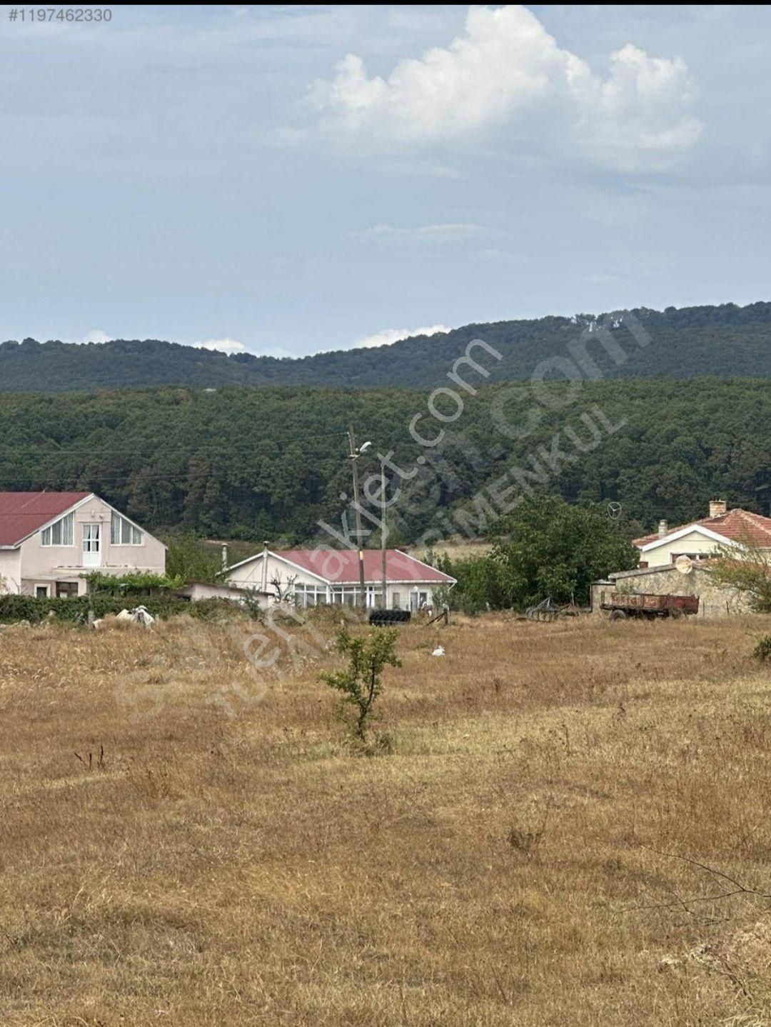 Kırklareli Merkez Beypınar Köyü Satılık Tarla Etik Emlaktan Kırklareli Beypınar Mah.satılık Parseller