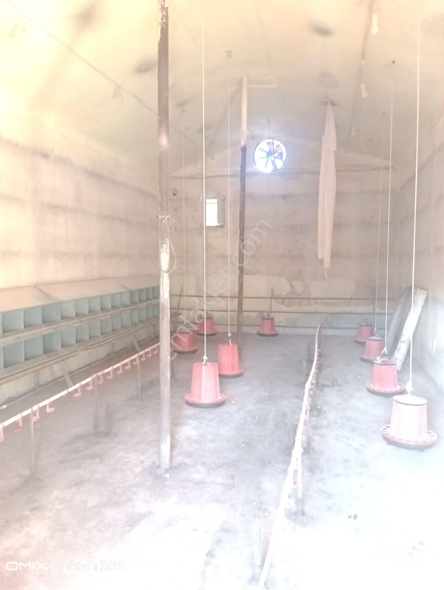 Burdur Altinyayla Satılık Arsa - Görsel 20