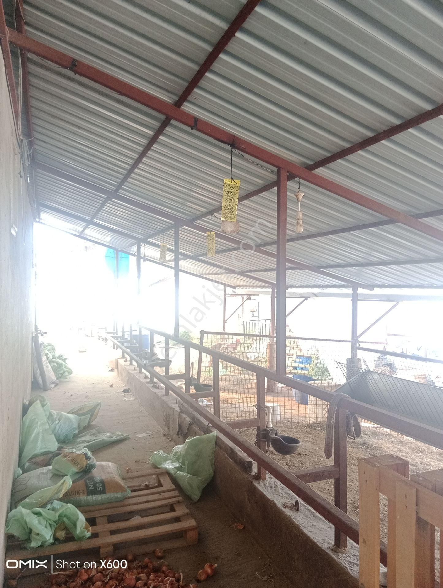 Burdur Altinyayla Satılık Arsa - Görsel 14