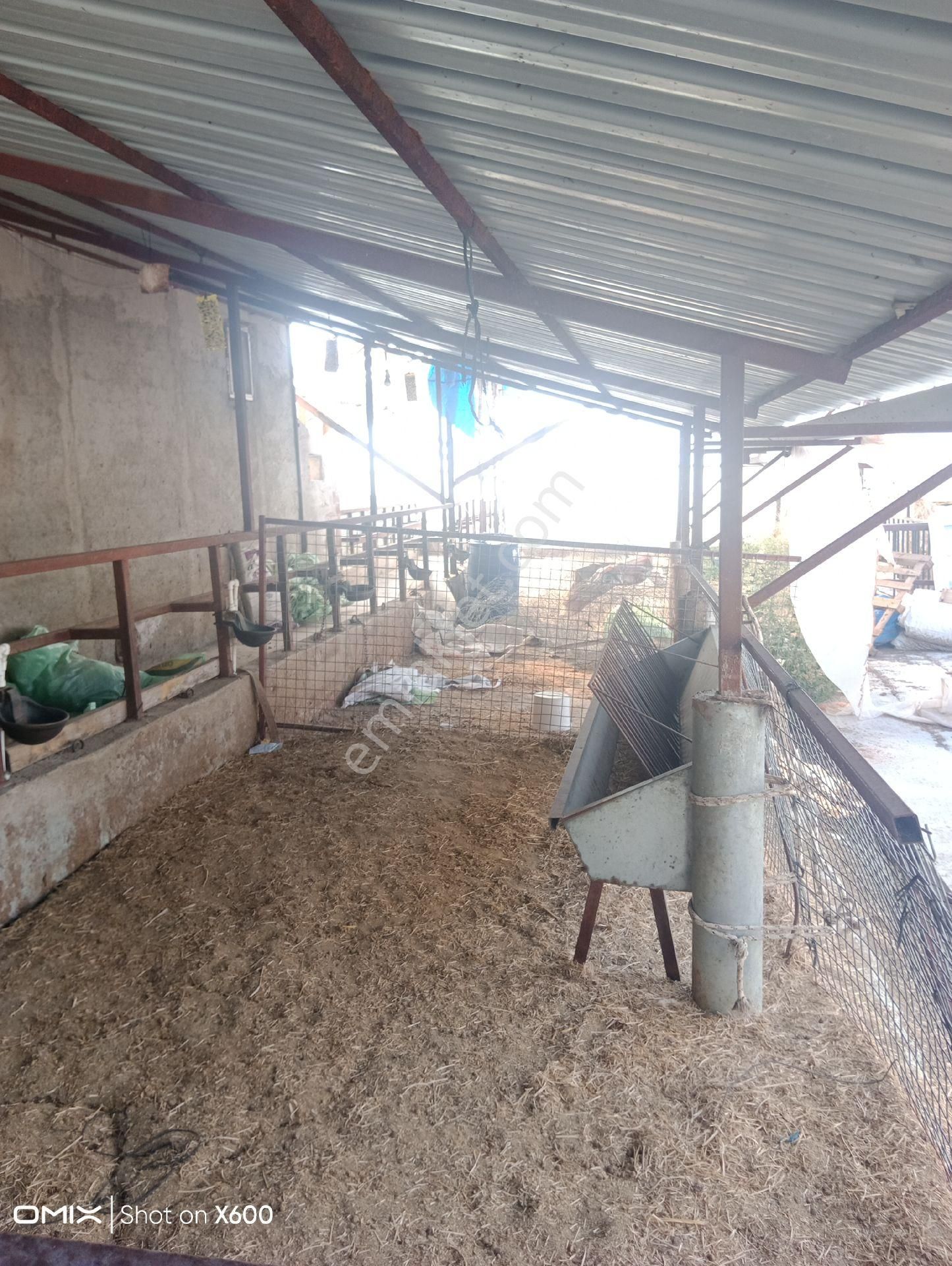 Burdur Altinyayla Satılık Arsa - Görsel 15