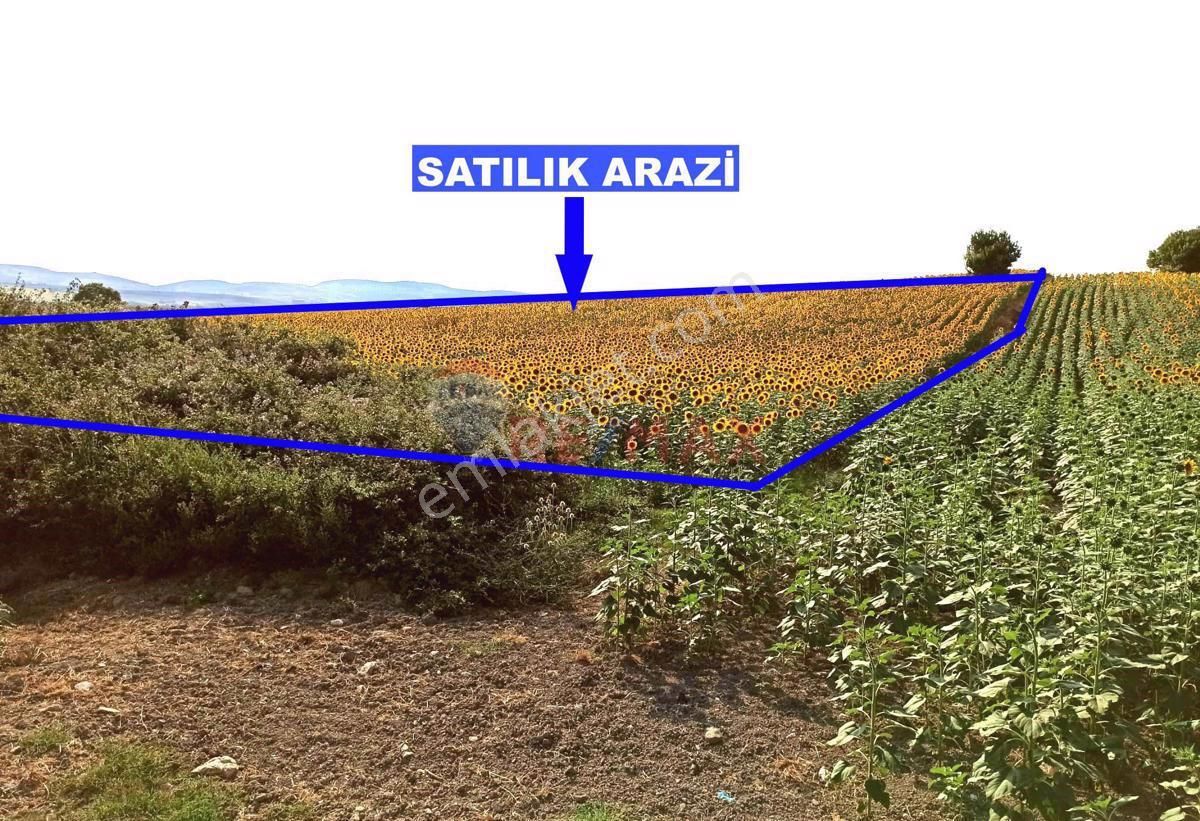 Çatalca Nakkaş Satılık Tarla Çatalca’da Hesaplı Fiyata Müstakil Parsel