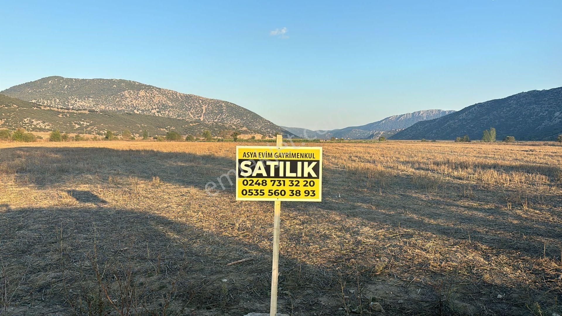 Asya Evim Emlaktan Kum Mah De Satılık Tarla - Görsel 2