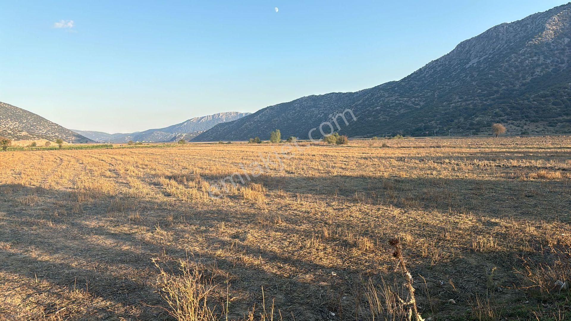 Asya Evim Emlaktan Kum Mah De Satılık Tarla - Görsel 22