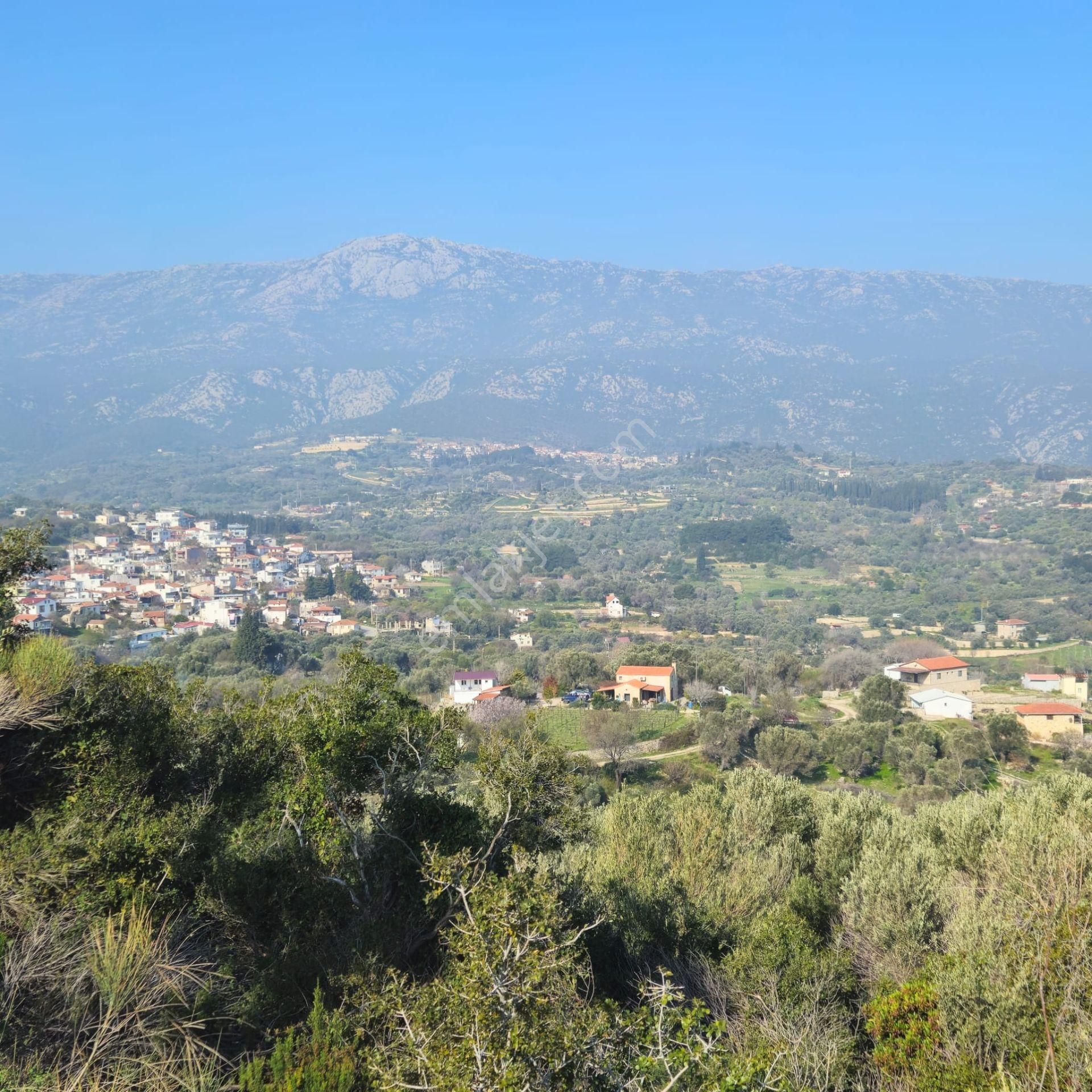 İzmir Karaburun Eğlenhoca'da Deniz Manzaralı Satılık Arazi - Görsel 31
