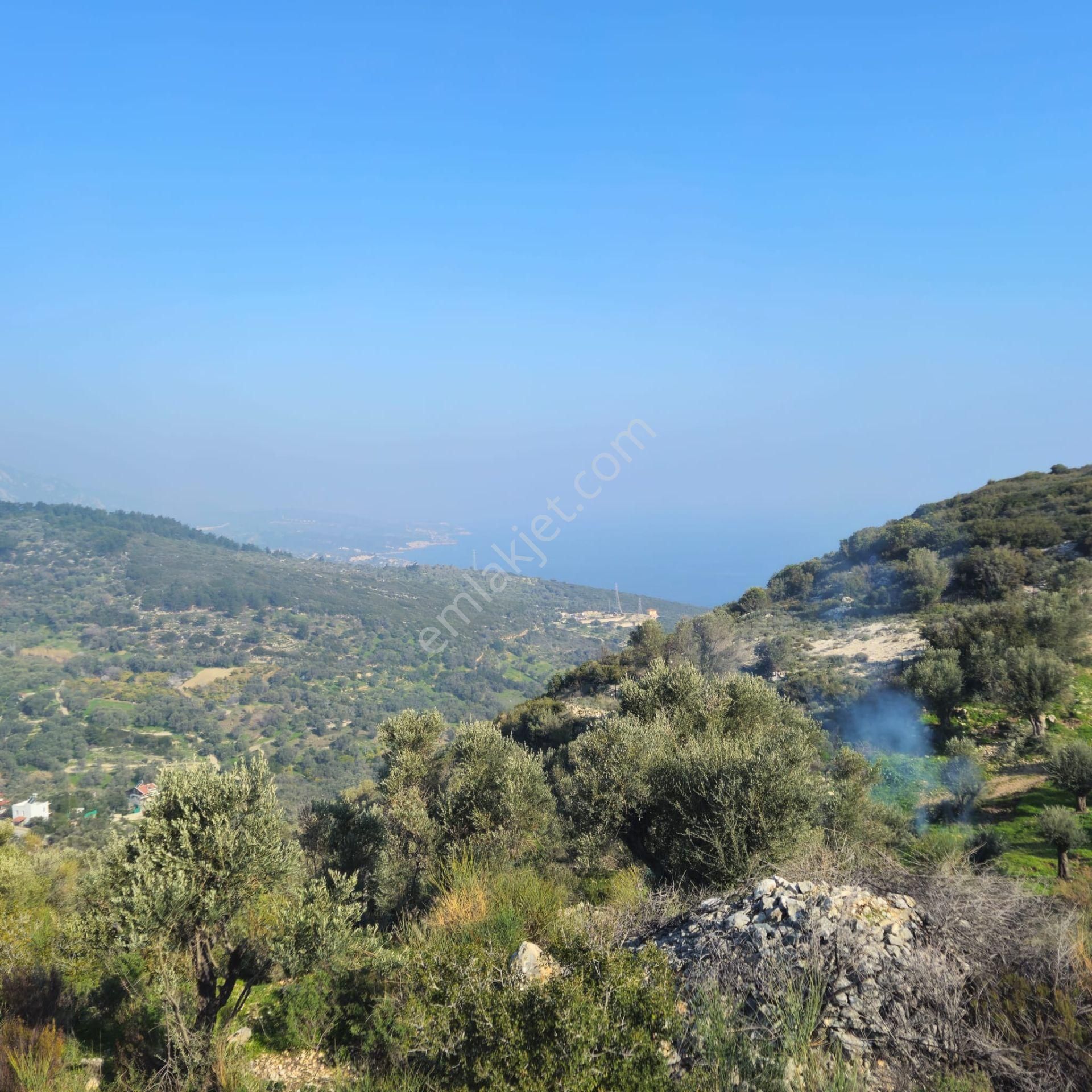 İzmir Karaburun Eğlenhoca'da Deniz Manzaralı Satılık Arazi - Görsel 35