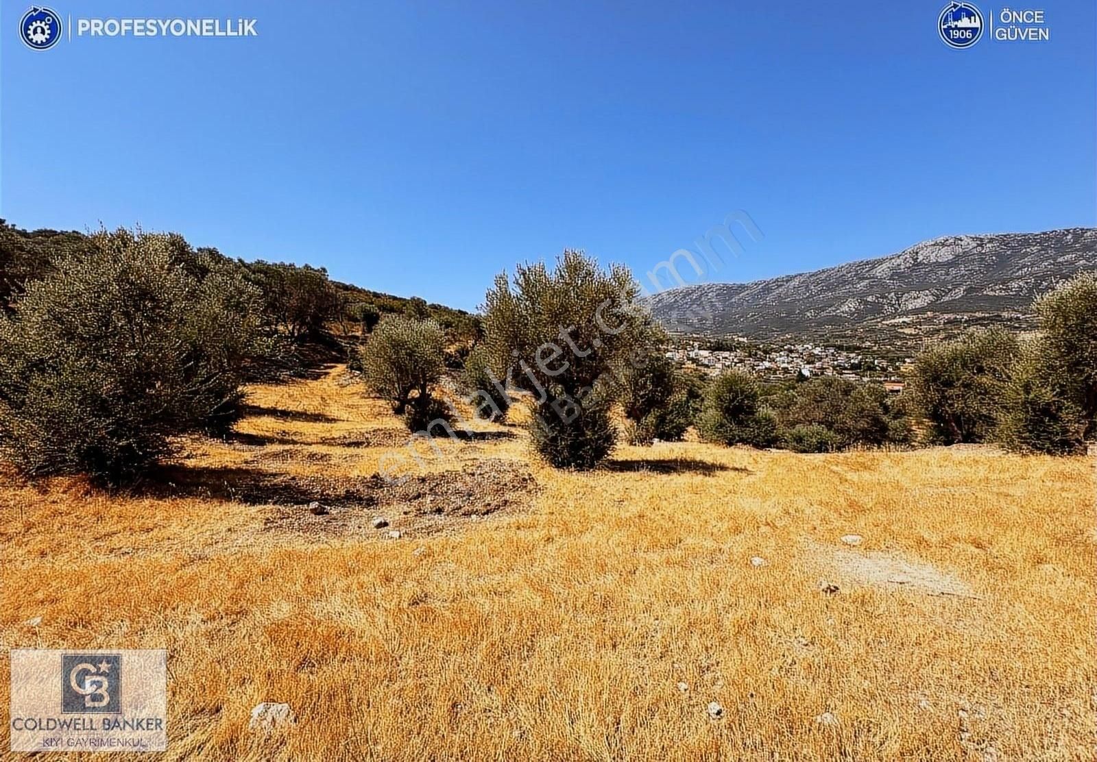 İzmir Karaburun Eğlenhoca'da Deniz Manzaralı Satılık Arazi - Görsel 6