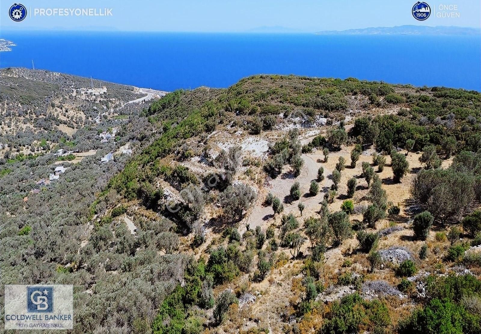İzmir Karaburun Eğlenhoca'da Deniz Manzaralı Satılık Arazi - Görsel 29