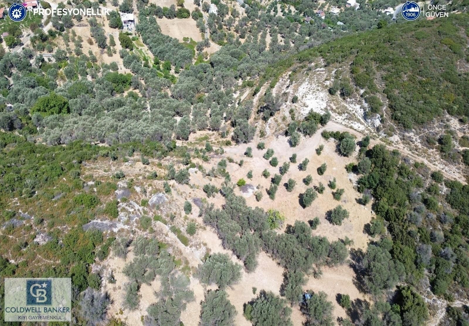 İzmir Karaburun Eğlenhoca'da Deniz Manzaralı Satılık Arazi - Görsel 13