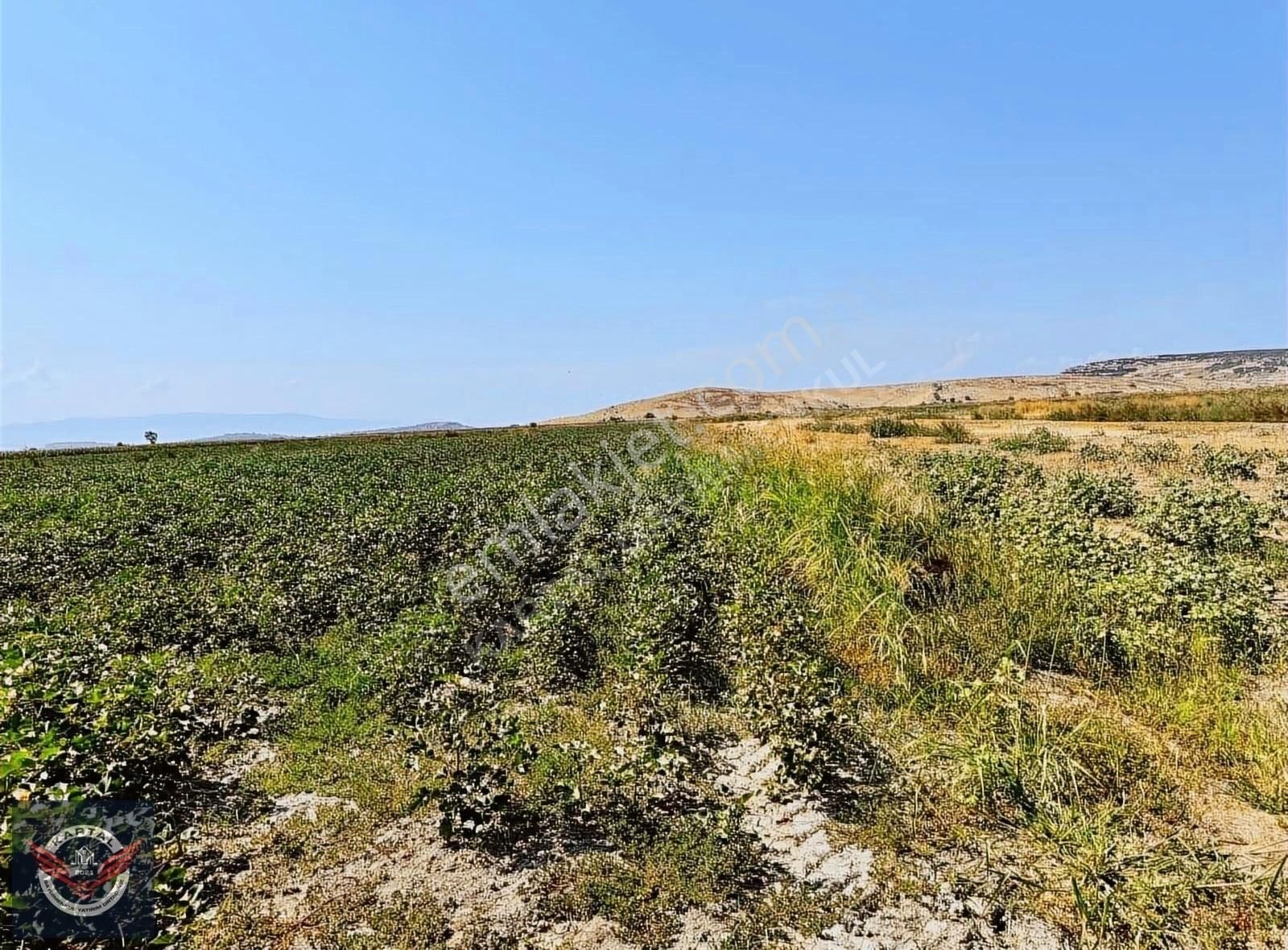 Menemen Tuzçullu Satılık Tarla TUZÇULLU'DA SATILIK 27 DÖNÜM SATILIK TARLA