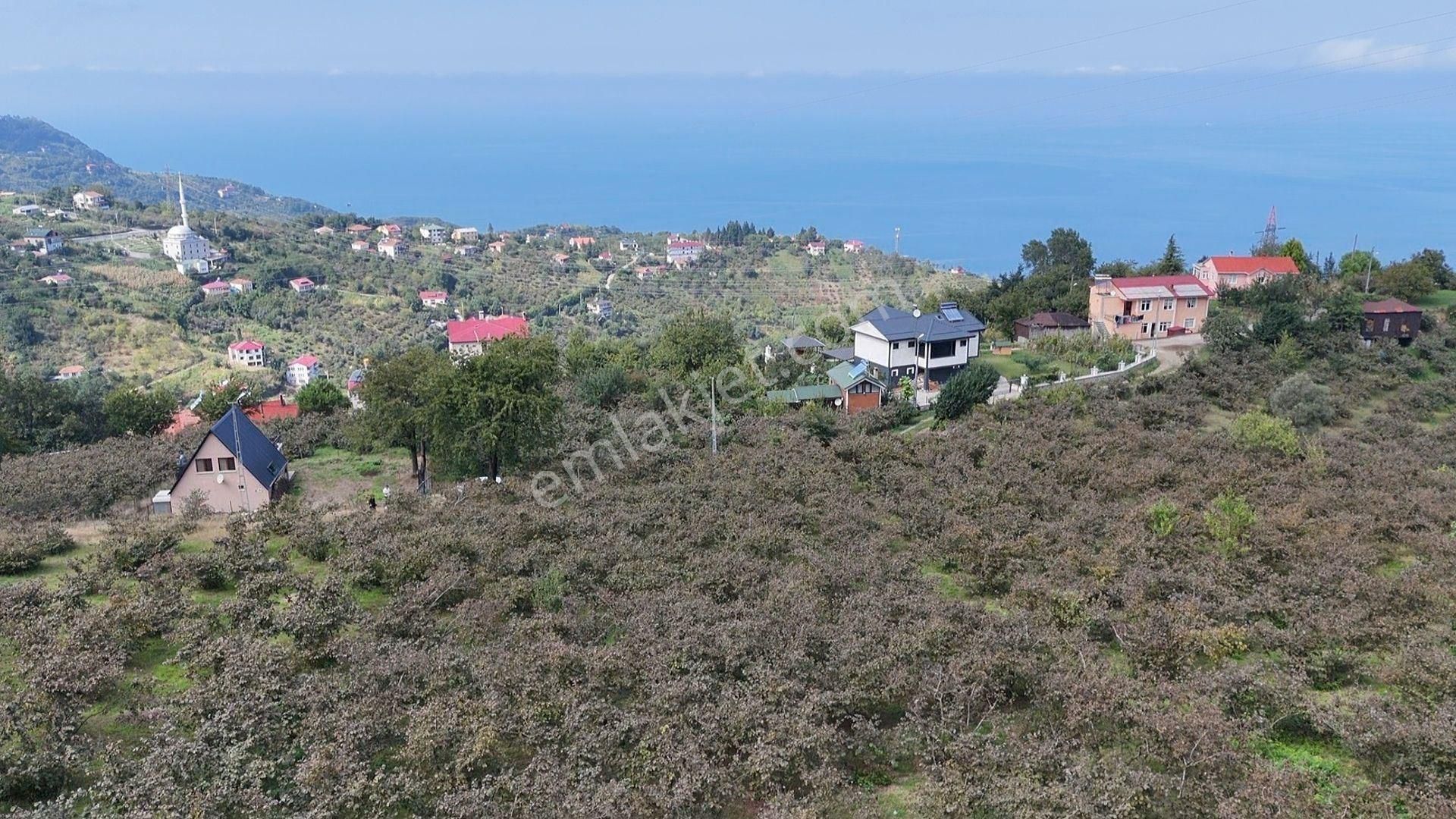 Akçaabat Mersin Satılık Konut İmarlı TRABZON MERSİN GÖL MAHALLESİ DENİZ MANZARA-EĞİMSİZ FIRSAT ARSA