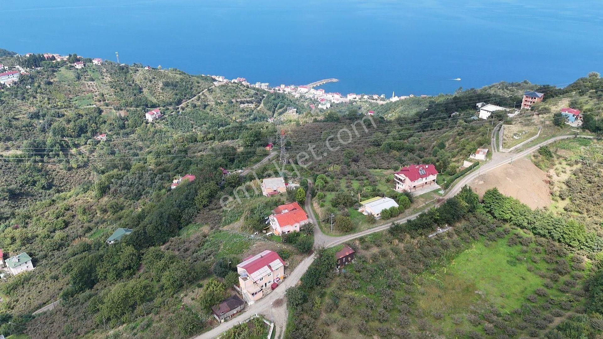 Akçaabat Mersin Satılık Konut İmarlı TRABZON MERSİN EĞİMSİZ,VİLLALIK DENİZ MANZARALI ARSA