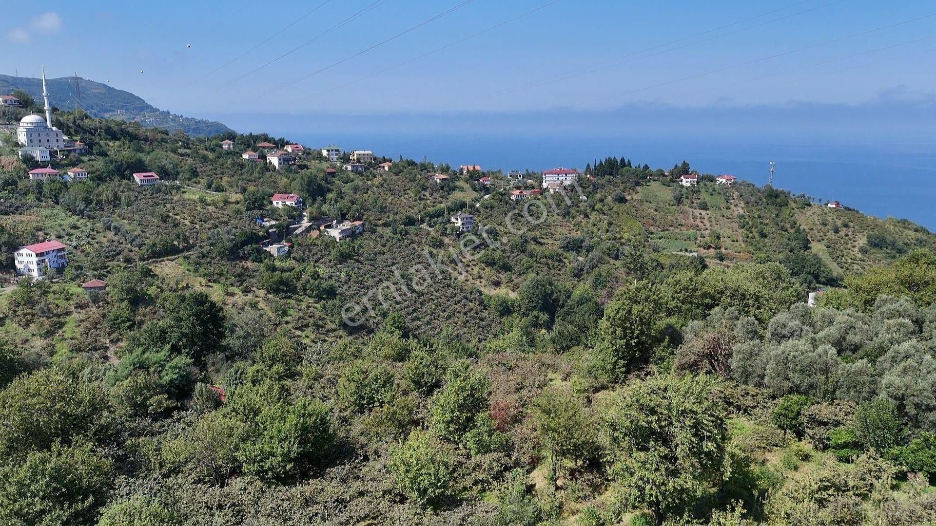 Akçaabat Mersin Satılık Konut İmarlı TRABZON MERSİN'DE GÖZDE LOKASYON YATIRIMIK FIRSAT ARSA