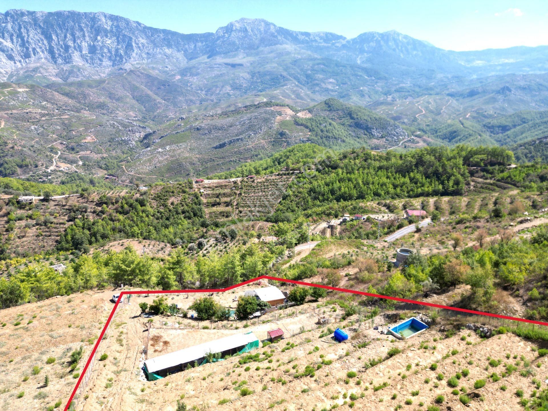 Fakırcalı Köyünde Satılık 3700 M2 Zeytin Tarlası Ve Prefabrik Ev - Görsel 20