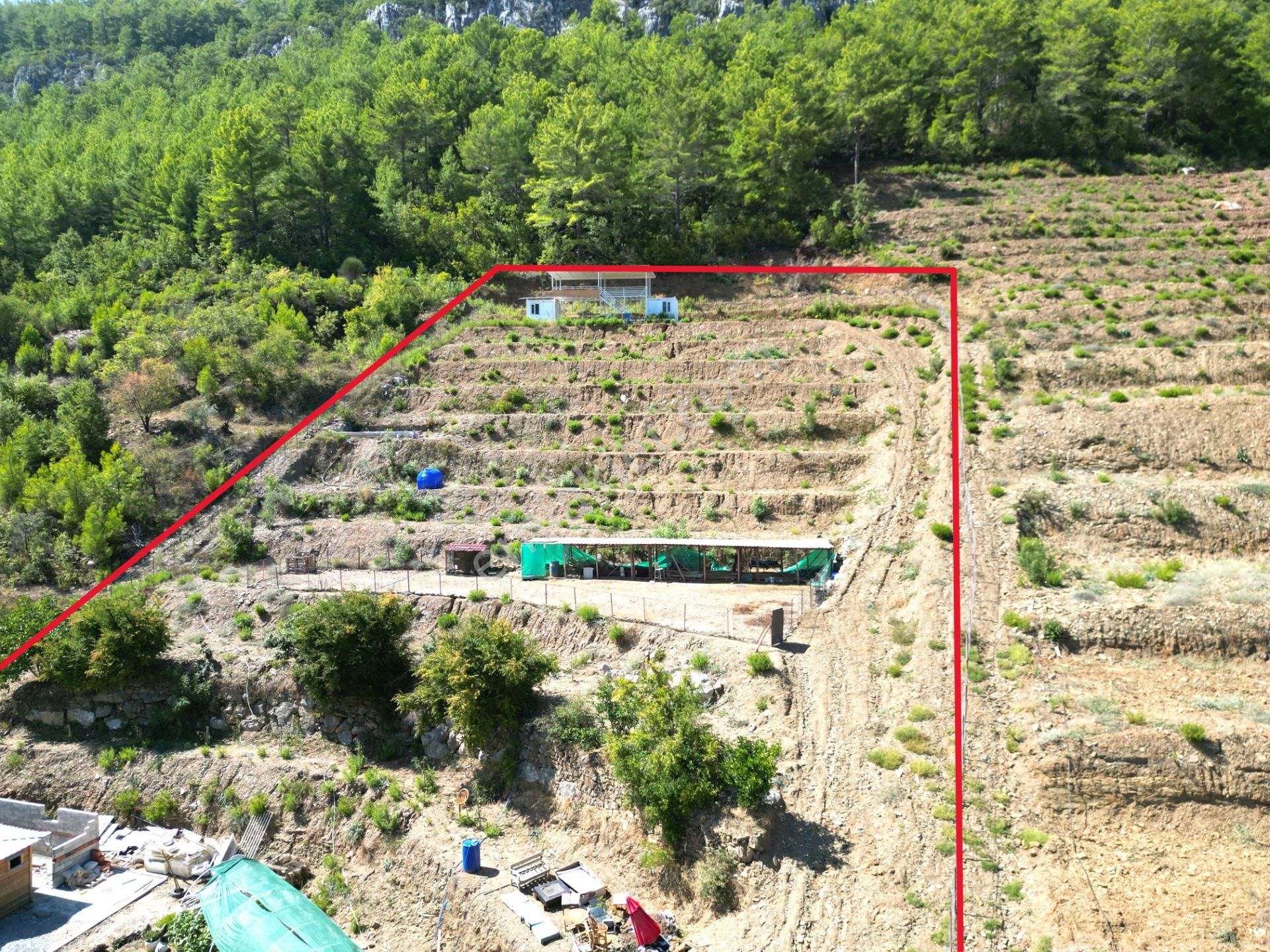 Fakırcalı Köyünde Satılık 3700 M2 Zeytin Tarlası Ve Prefabrik Ev - Görsel 29