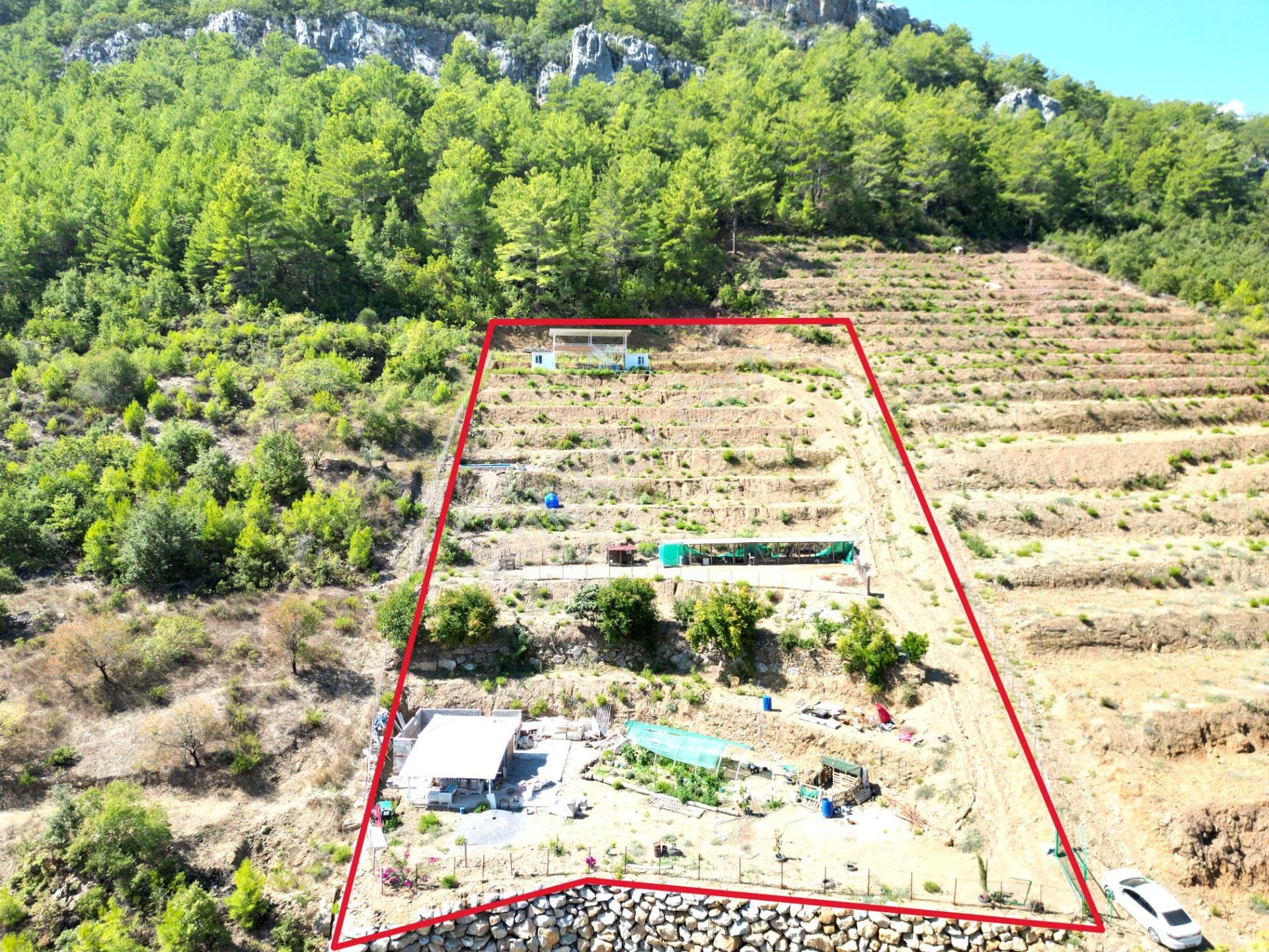 Fakırcalı Köyünde Satılık 3700 M2 Zeytin Tarlası Ve Prefabrik Ev - Görsel 6