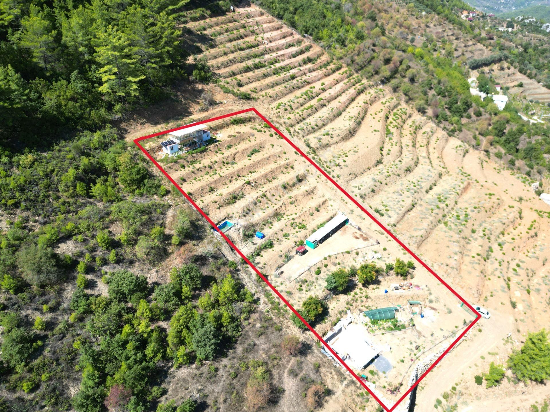 Fakırcalı Köyünde Satılık 3700 M2 Zeytin Tarlası Ve Prefabrik Ev - Görsel 25