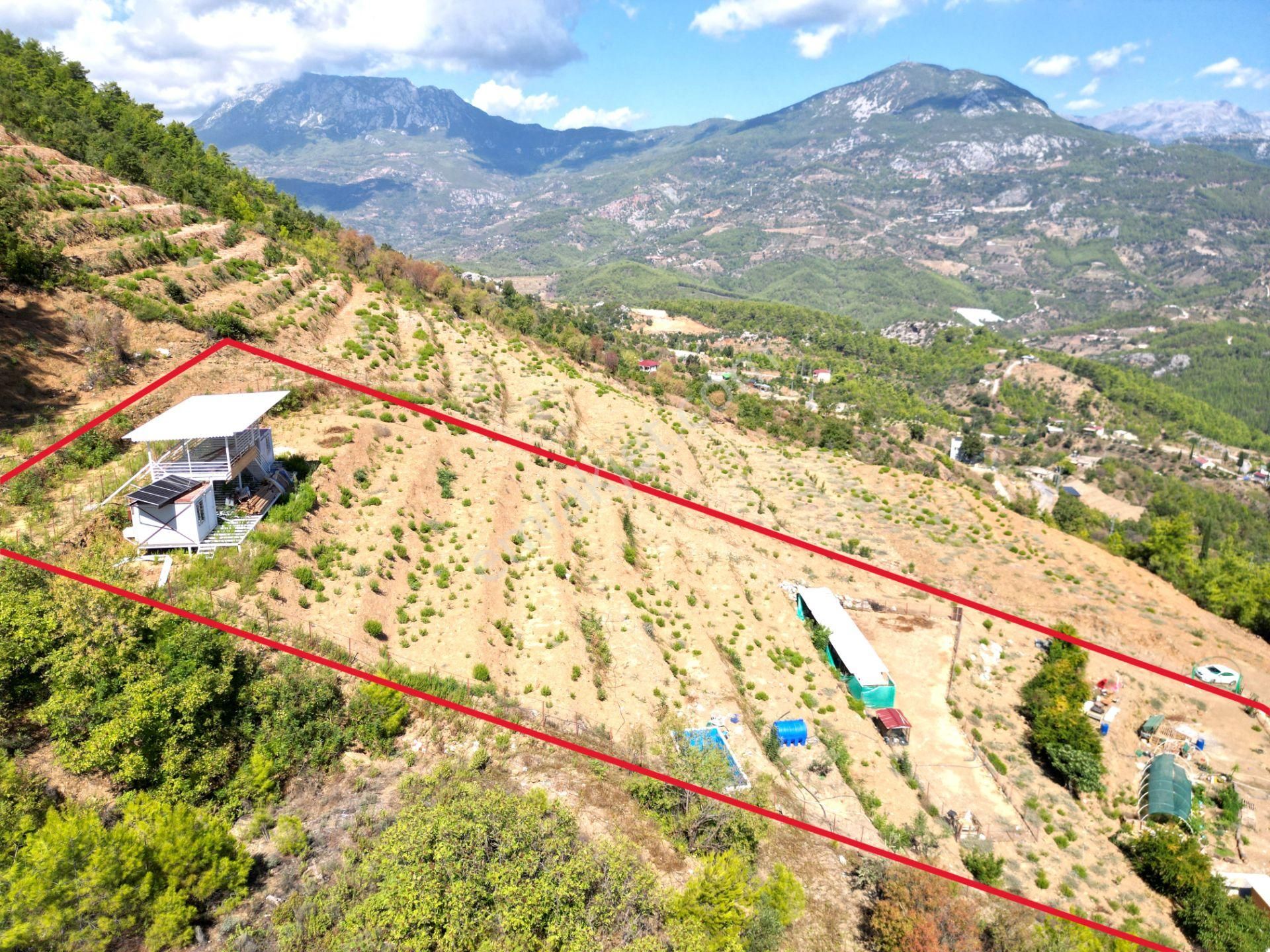 Fakırcalı Köyünde Satılık 3700 M2 Zeytin Tarlası Ve Prefabrik Ev - Görsel 16