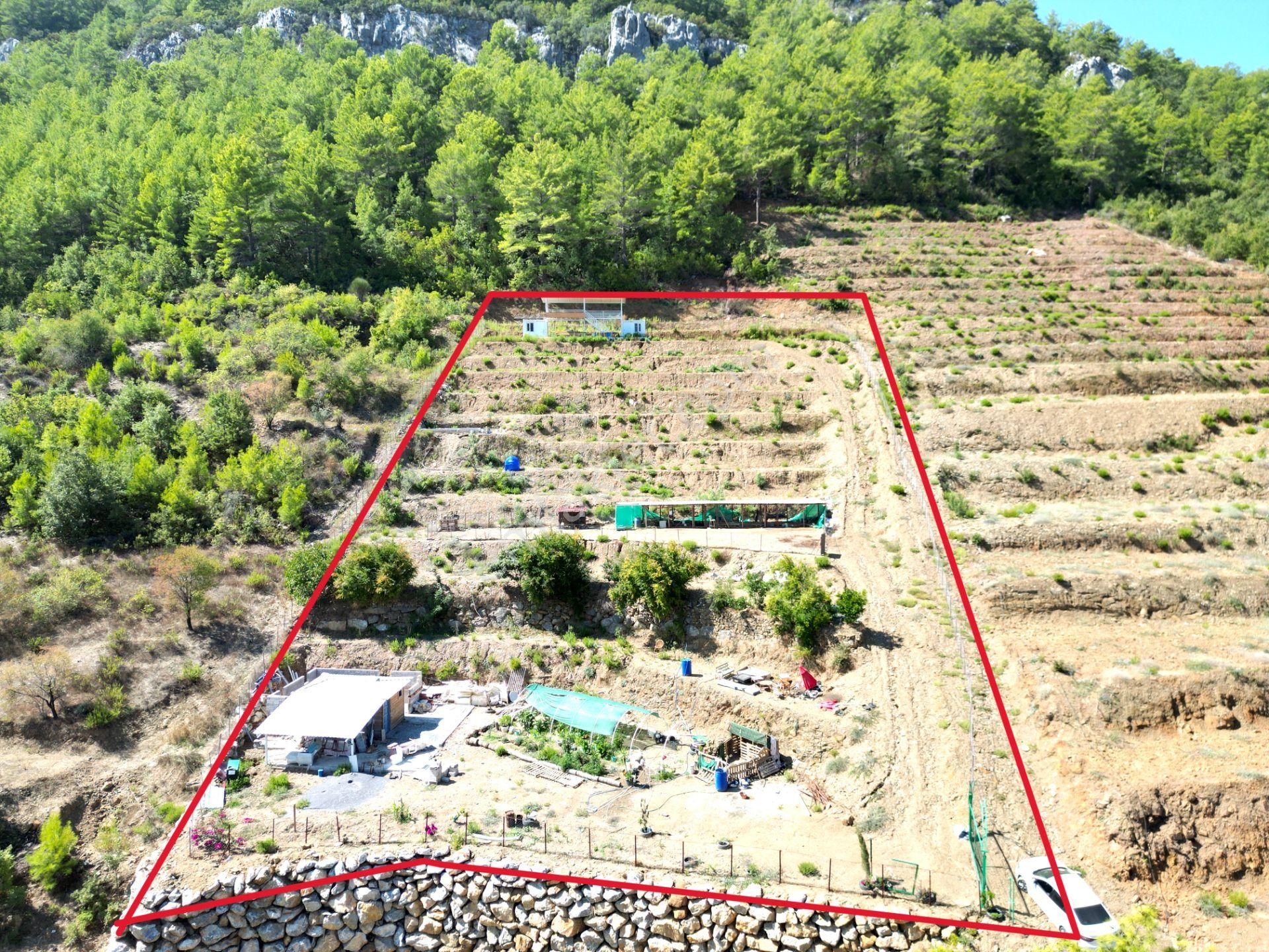 Fakırcalı Köyünde Satılık 3700 M2 Zeytin Tarlası Ve Prefabrik Ev - Görsel 4