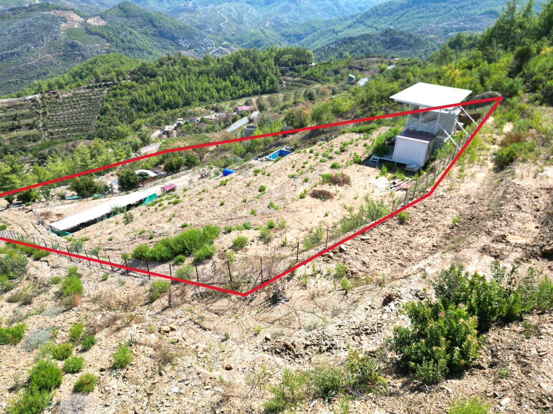 Alanya Fakırcalı Satılık Köy Evi Fakırcalı Köyünde Satılık 3700 M2 Zeytin Tarlası Ve Prefabrik Ev