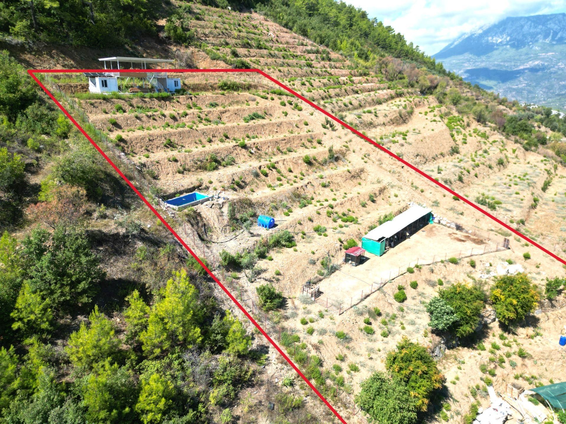 Fakırcalı Köyünde Satılık 3700 M2 Zeytin Tarlası Ve Prefabrik Ev - Görsel 10